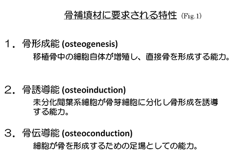 骨補填材に求められる特性