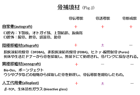 骨補填材の分類