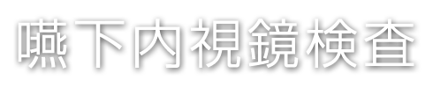 嚥下内視鏡検査